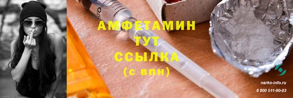 дживик Богородицк