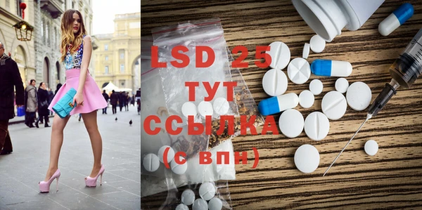 дживик Богородицк