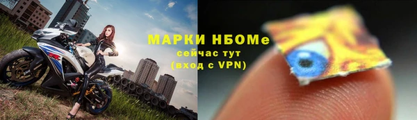 дживик Богородицк