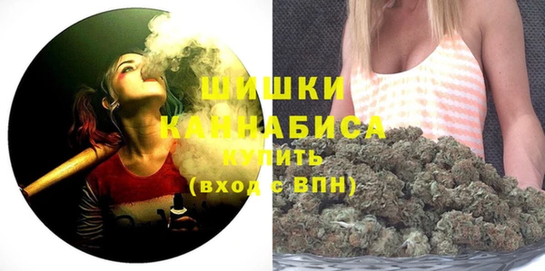 дживик Богородицк
