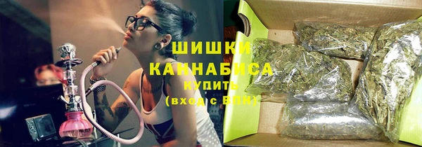 дживик Богородицк