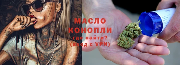 дживик Богородицк